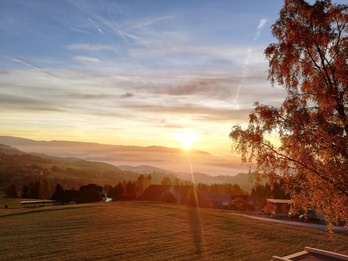 Hochleben-Chalets Am Erlebnisbauernhof Steinerhof Liebenfels المظهر الخارجي الصورة