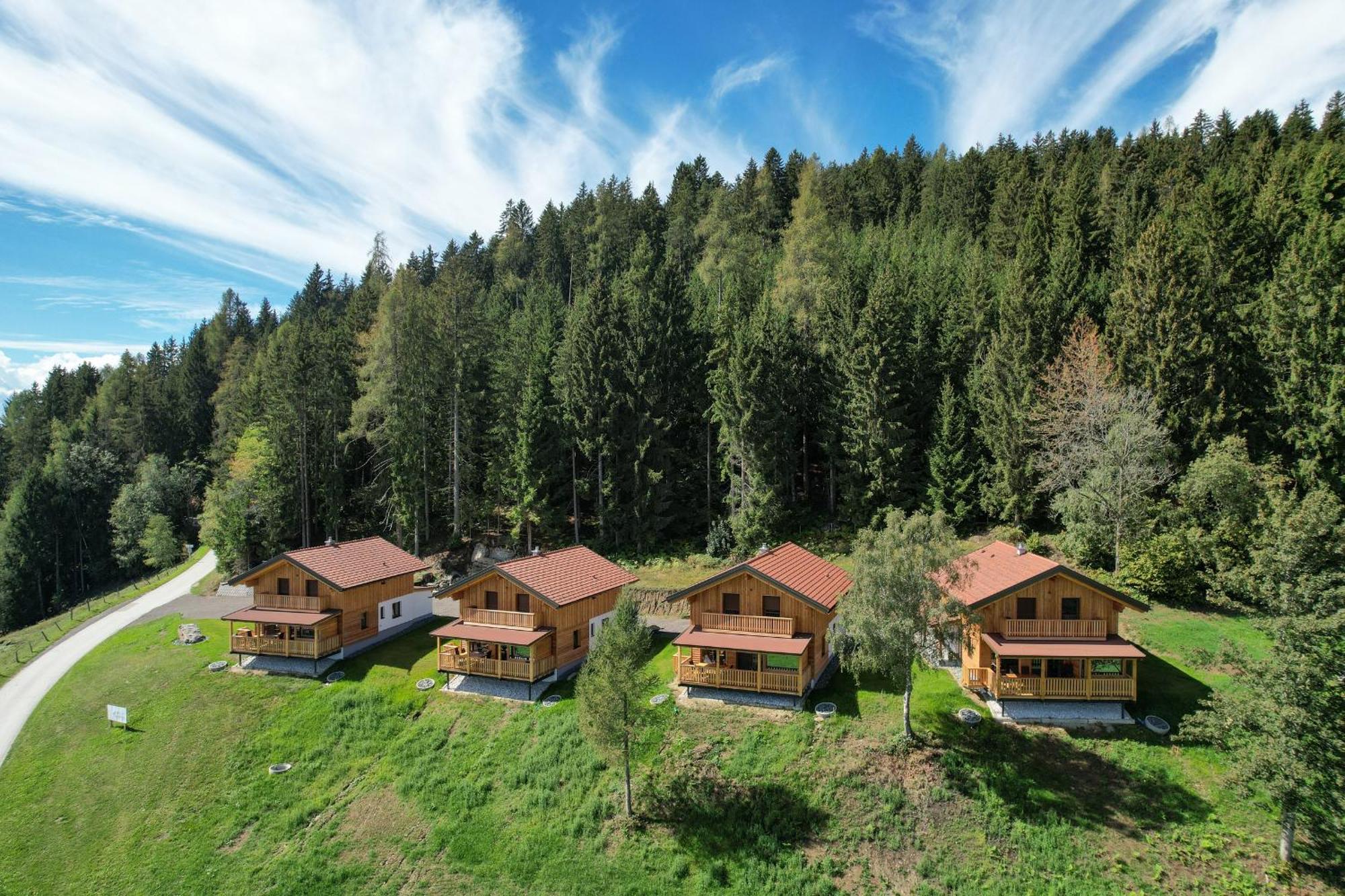 Hochleben-Chalets Am Erlebnisbauernhof Steinerhof Liebenfels المظهر الخارجي الصورة