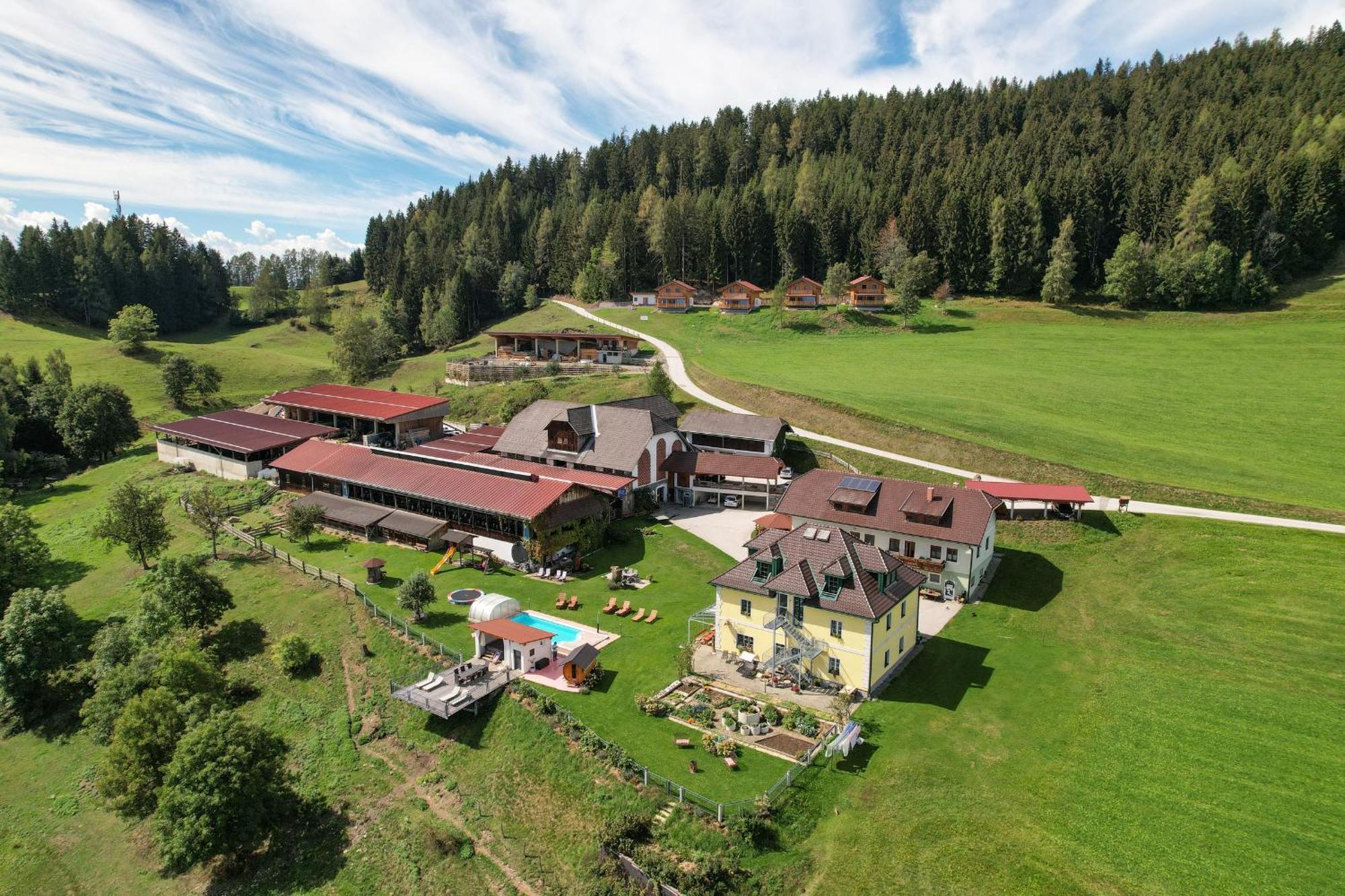 Hochleben-Chalets Am Erlebnisbauernhof Steinerhof Liebenfels المظهر الخارجي الصورة